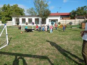 Sorbon - pes fotbalista